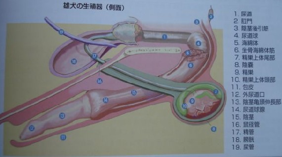 “9游官网”乡村爱情12谢腾飞离家出走是哪一集?为什么离家出走?(图1) 9游官网